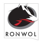 Unità disco NAS Ironwolf