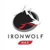 Unità disco NAS Ironwolf